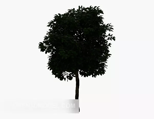 Mao Shanda Tree 3d model Mao Shanda Tree 3d model