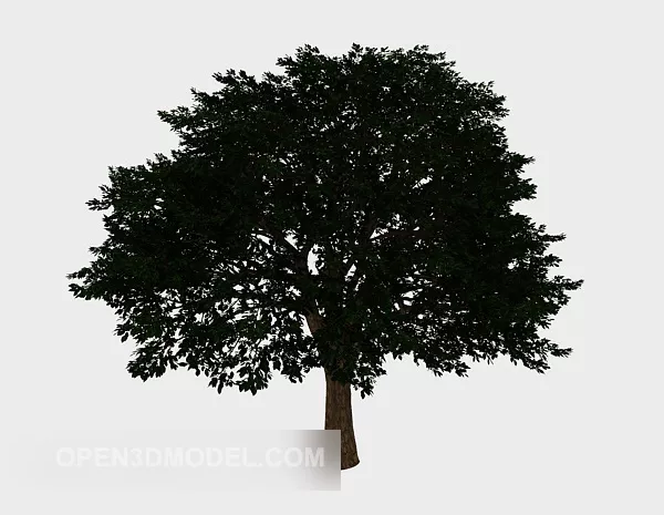 Beach Mountain Landscape 3d model