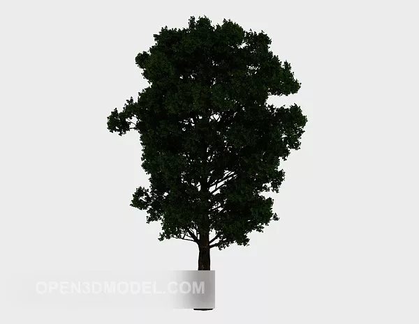 Green Tree Outdoor Plant 3d model Green Tree Outdoor Plant 3d model