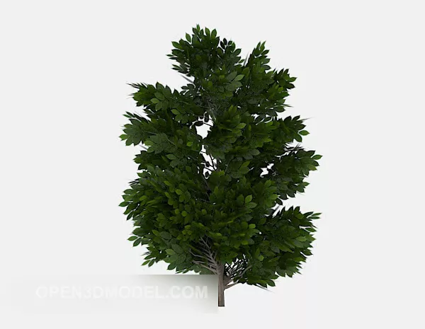 Multi-branched Green Tree Plant 3d model Multi-branched Green Tree Plant 3d model
