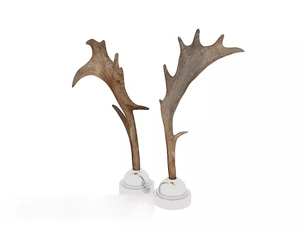 Nordic Wooden Antler Spout 3d model Nordic Wooden Antler Spout 3d model