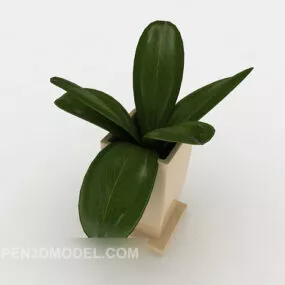 Office Small Potted Tree 3d model