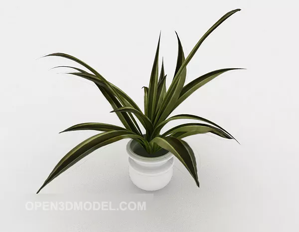Office Potted Decoration 3d model Office Potted Decoration 3d model