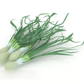 Onion Plant 3d model