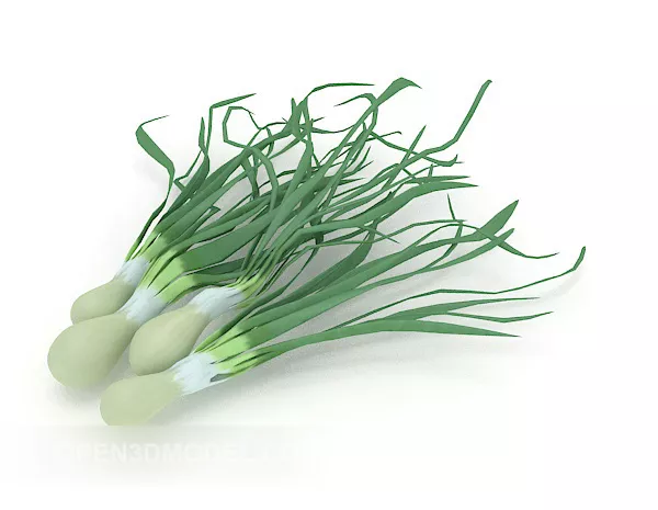 Onion Plant 3d model Onion Plant 3d model