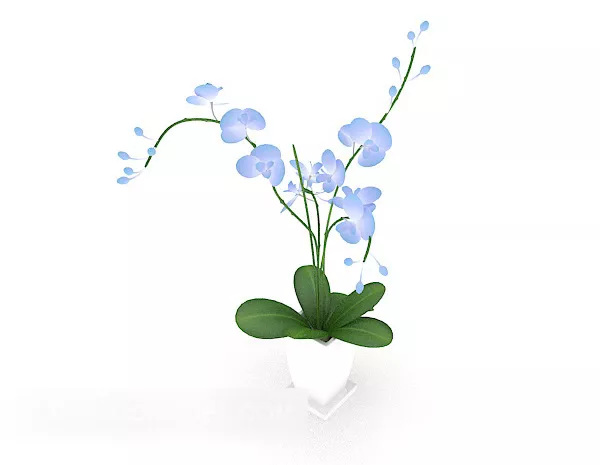 Orchid Potted 3d model Orchid Potted 3d model