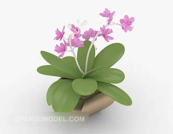 Orchid Small Potted 3d model Orchid Small Potted 3d model