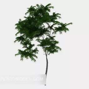 Ordinary Outdoor Green Plant 3d model