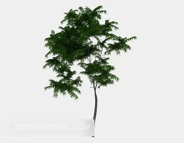 Ordinary Outdoor Green Plant 3d model Ordinary Outdoor Green Plant 3d model
