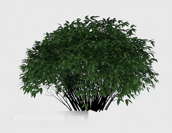 Ornamental Green Plant 3d model Ornamental Green Plant 3d model