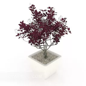 Ornamental Indoor Potted 3d model