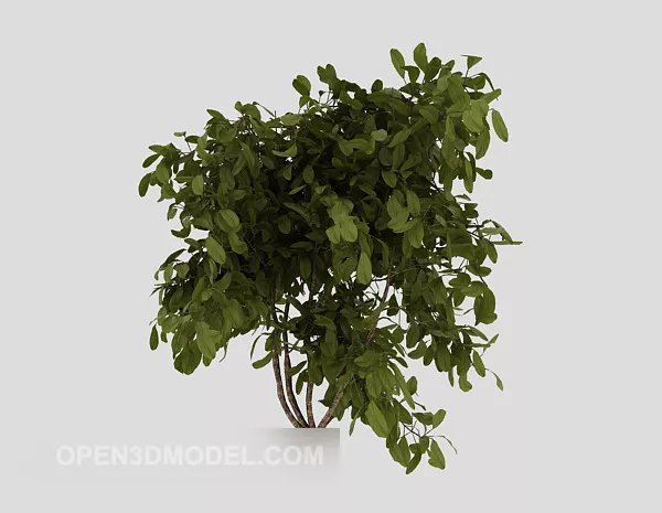 Chinese Ancient Garden Building Elements 3d model