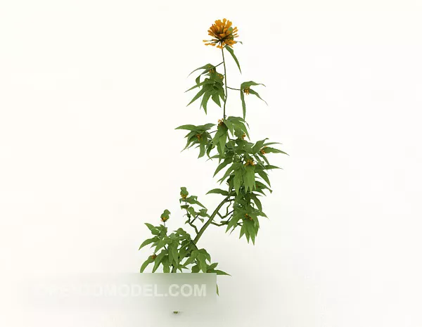 Indoor Potted Lilies Flower 3d model