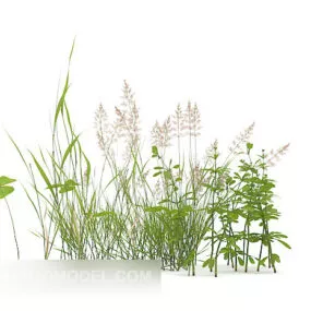Garden Outdoor Flower Plant 3d model