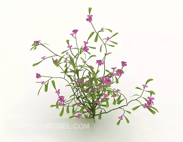 Plant Bush Leaf 3d model