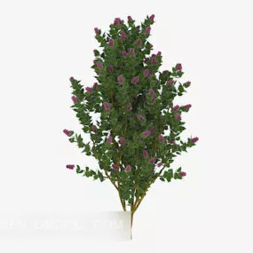 Outdoor Flowering Trees 3d model