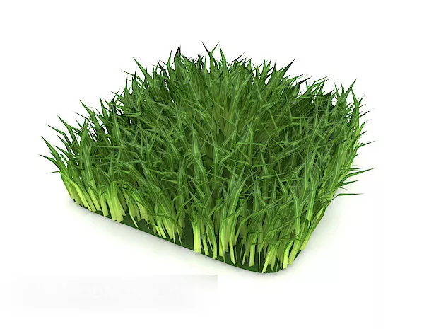 Outdoor Green Grass Realistic 3d model Outdoor Green Grass Realistic 3d model
