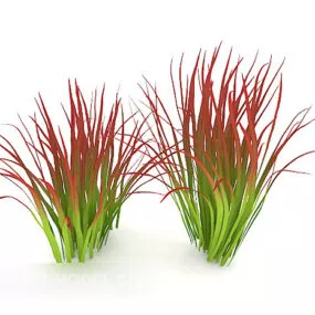 Outdoor Green Vegetation Plant 3d model