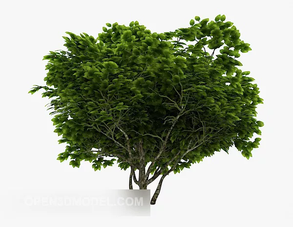 Pine Trees Landscape 3d model