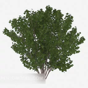 Outdoor Plant Green Tree 3d model