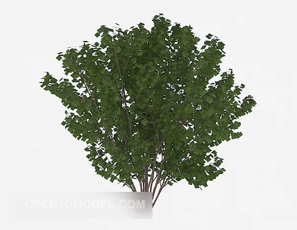 Outdoor Plant Green Tree 3d model Outdoor Plant Green Tree 3d model