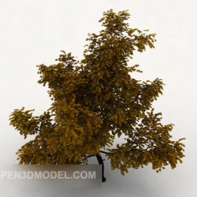 Outdoor Plant Maple Furniture 3d model