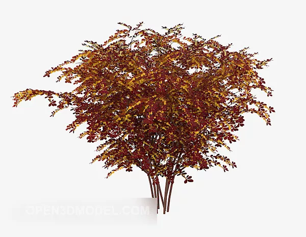 Outdoor Red Leaf Plant 3d model Outdoor Red Leaf Plant 3d model