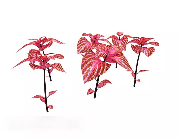 Outdoor Red Plant 3d model Outdoor Red Plant 3d model