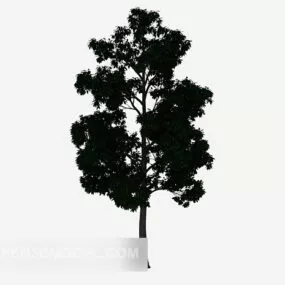 Outdoor Big Tree 3d model