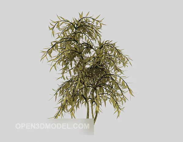 Outdoor Tree Plant Big Leaf 3d model Outdoor Tree Plant Big Leaf 3d model