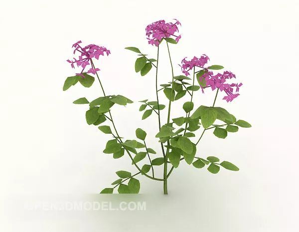 Outdoor Wild Plant Red Flower 3d model Outdoor Wild Plant Red Flower 3d model
