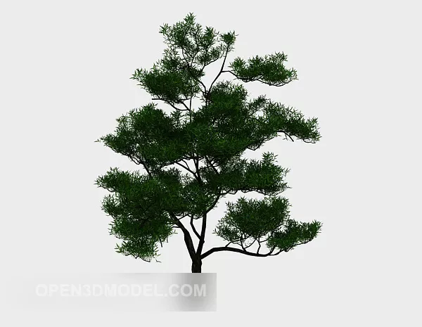 Outdoor Broad Leaf Tree 3d model Outdoor Broad Leaf Tree 3d model