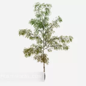 Outdoor Deciduous Plant 3d model