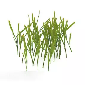 Outdoor Green Plant Flower Spout 3d model