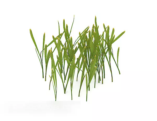 Outdoor Green Plant Flower Spout 3d model Outdoor Green Plant Flower Spout 3d model