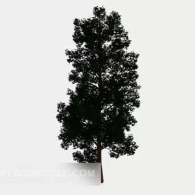Outdoor Green Plant Sapling 3d model