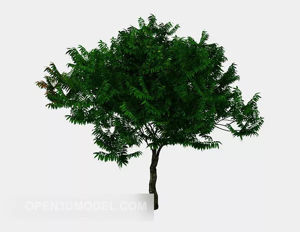 Outdoor Green Tree Broad Leaf 3d model Outdoor Green Tree Broad Leaf 3d model