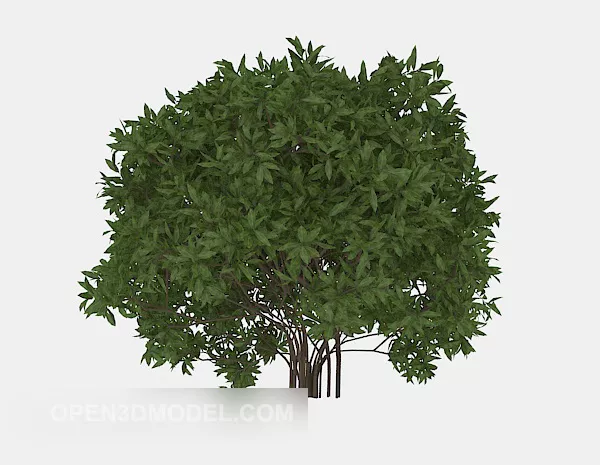 Outdoor Tall Green Leaf Plant 3d model Outdoor Tall Green Leaf Plant 3d model
