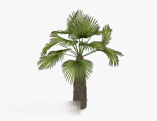Garden Palm Plant 3d model Garden Palm Plant 3d model