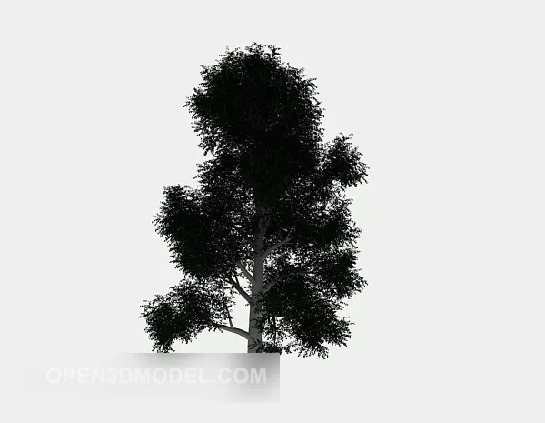 Park Big Green Tree 3d model Park Big Green Tree 3d model