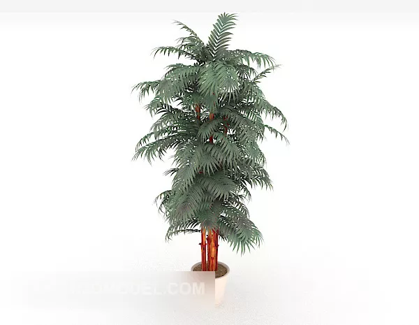 Pine Potted Plant 3d model Pine Potted Plant 3d model