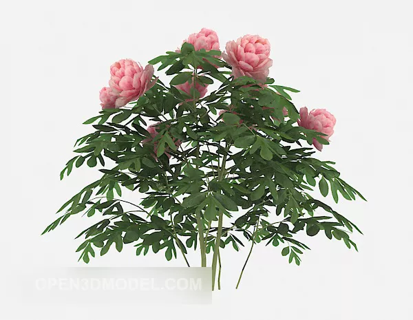 European Pink Flower Tree 3d model European Pink Flower Tree 3d model