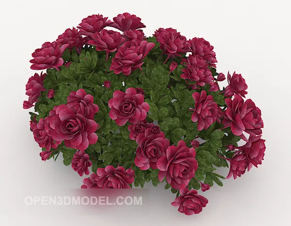 Rose Plant Potted 3d model Rose Plant Potted 3d model