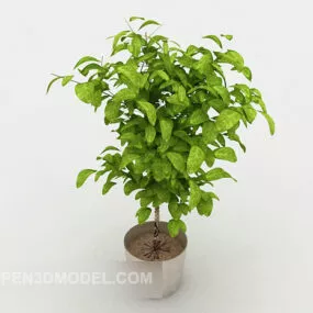 Plant Potted Plant Decoration 3d model