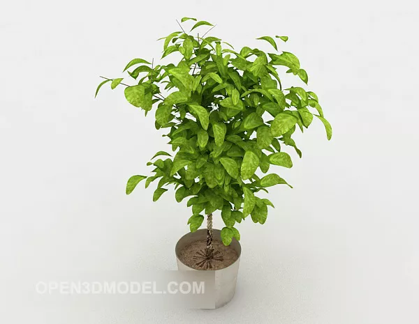 Plant Potted Plant Decoration 3d model Plant Potted Plant Decoration 3d model