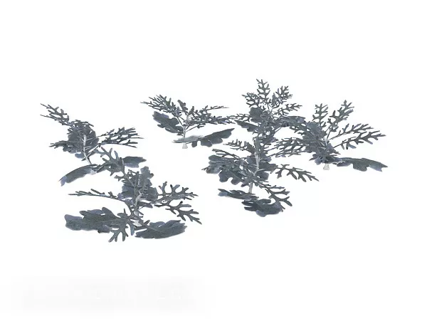 Plexplant Tree 3d model Plexplant Tree 3d model