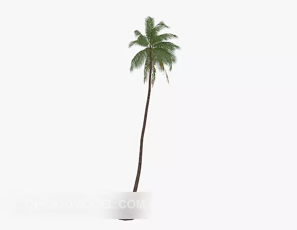 Coconut Fruit With Slice 3d model