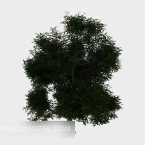 Popular Plant Sapling 3d model