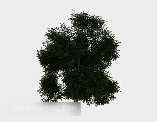 Popular Plant Sapling 3d model Popular Plant Sapling 3d model
