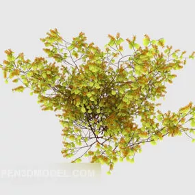 Popular Outdoor Vegetation 3d model